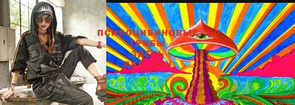 мет Дмитров