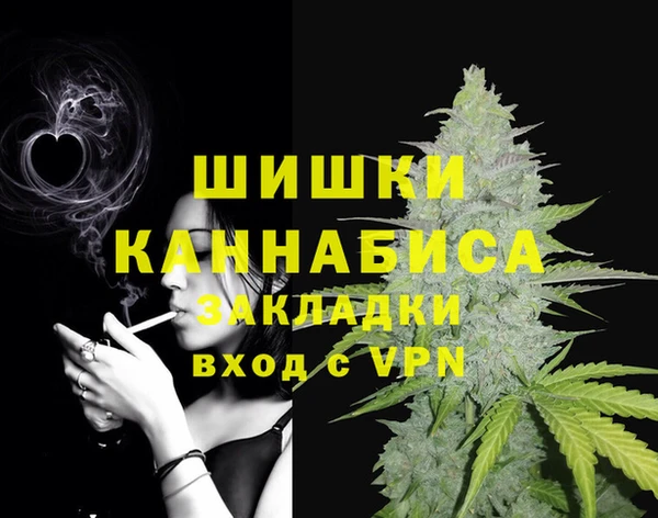 ешки Дмитриев